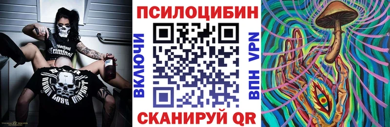 продажа наркотиков  Тетюши  Псилоцибиновые грибы MAGIC MUSHROOMS 